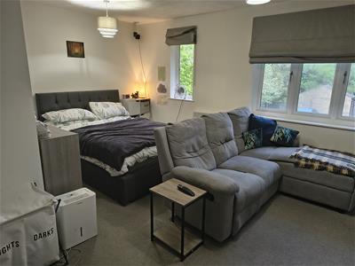 Picture 2